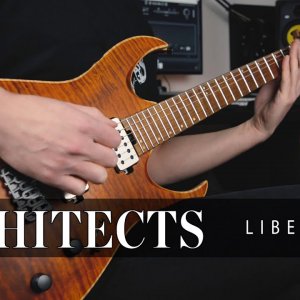 Architects - Libertine | Guitar Cover | Damien Reinerg